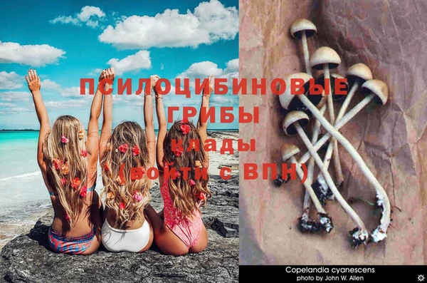 MDMA Зерноград