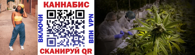 наркотики  Кадников  Бошки Шишки план 